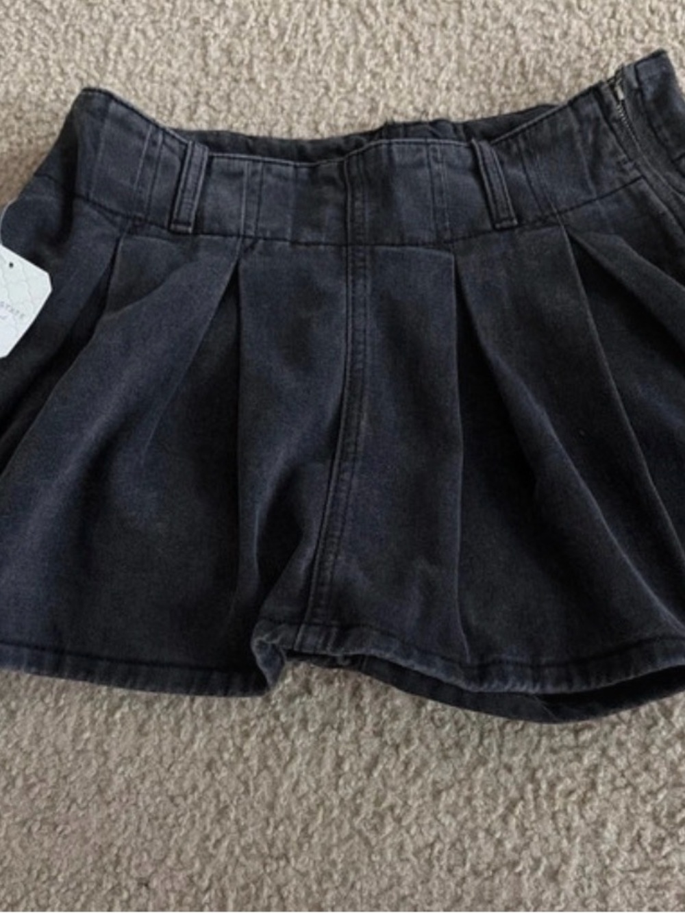 Altar'd State Black Pleated Mini Skirt